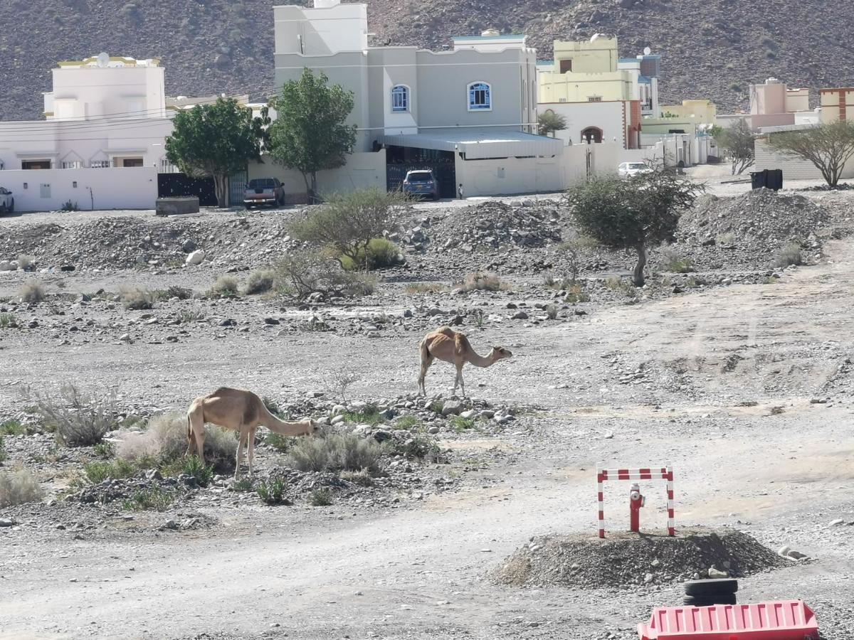 228Hostel Al Hamra Luaran gambar